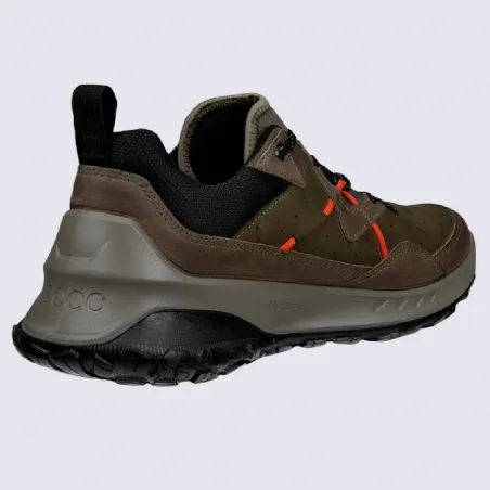 Ecco hiking shoes ULT-TRN M for men in khaki leather | Igert Shoes & Leather Goods